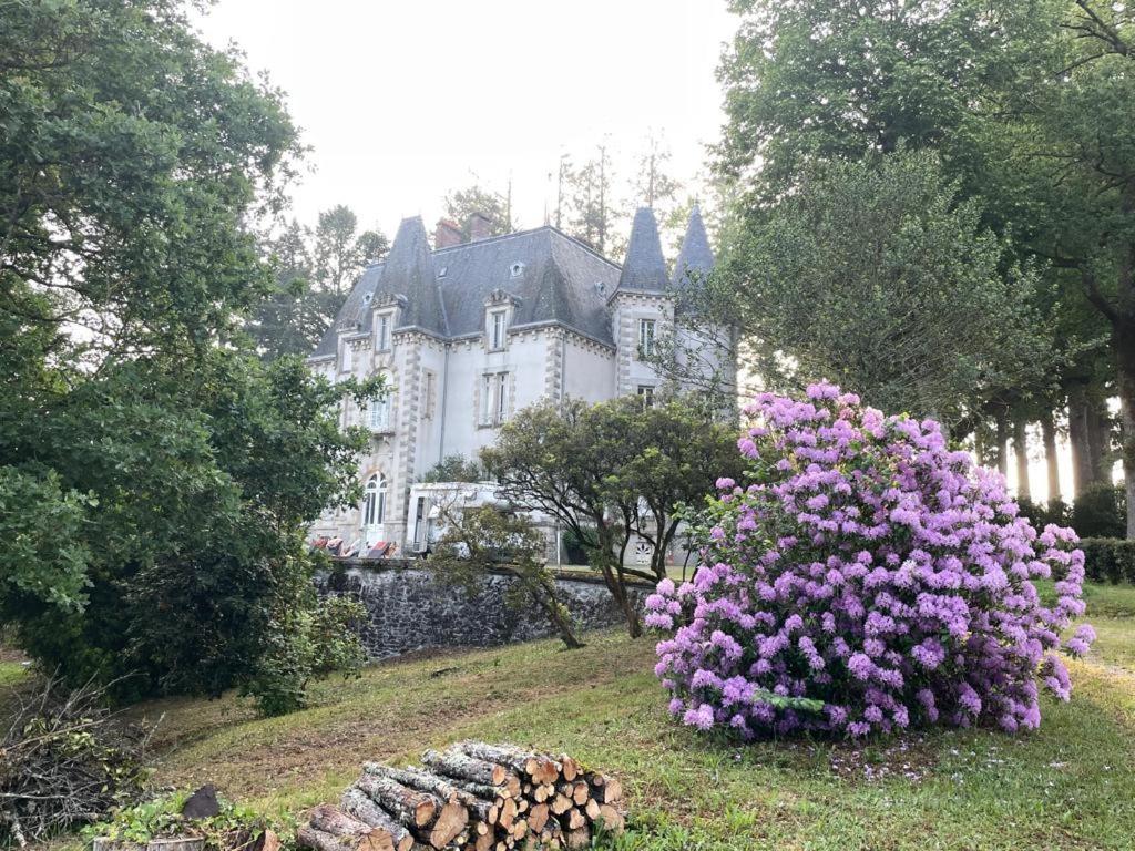 Chateau Maleplane Bed & Breakfast แซ็งต์-เลโอนาร์-เดอ-โนบลาต์ ภายนอก รูปภาพ