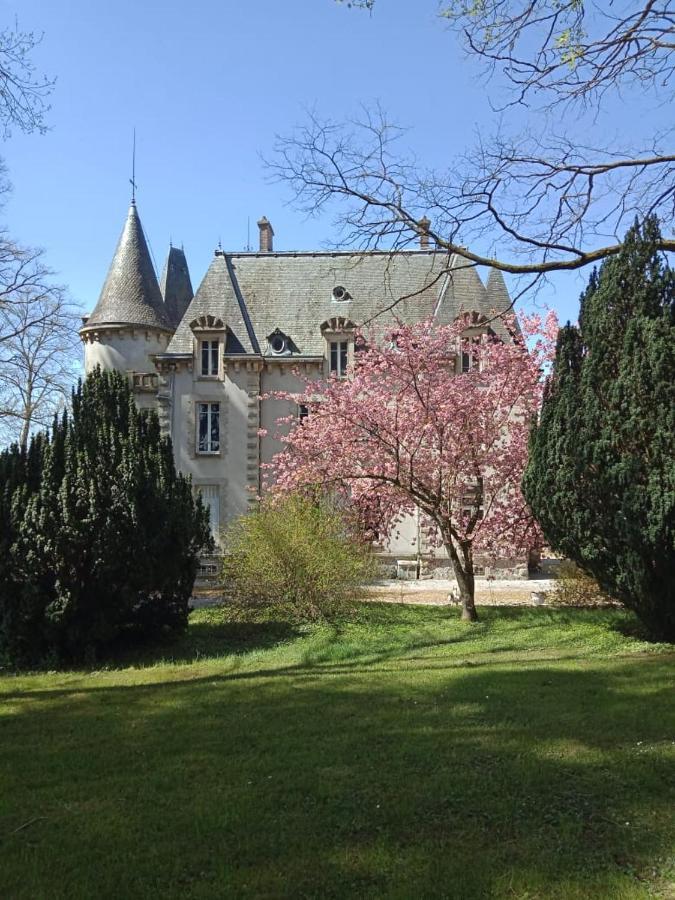 Chateau Maleplane Bed & Breakfast แซ็งต์-เลโอนาร์-เดอ-โนบลาต์ ภายนอก รูปภาพ