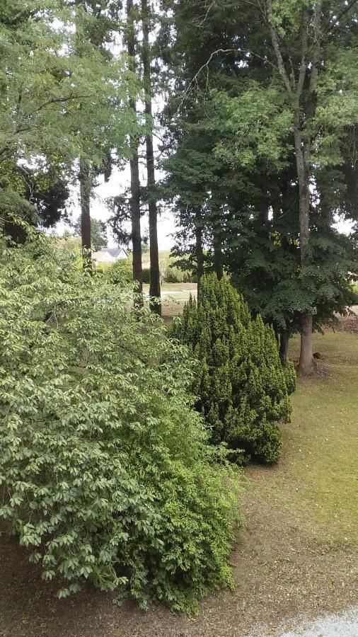 Chateau Maleplane Bed & Breakfast แซ็งต์-เลโอนาร์-เดอ-โนบลาต์ ภายนอก รูปภาพ