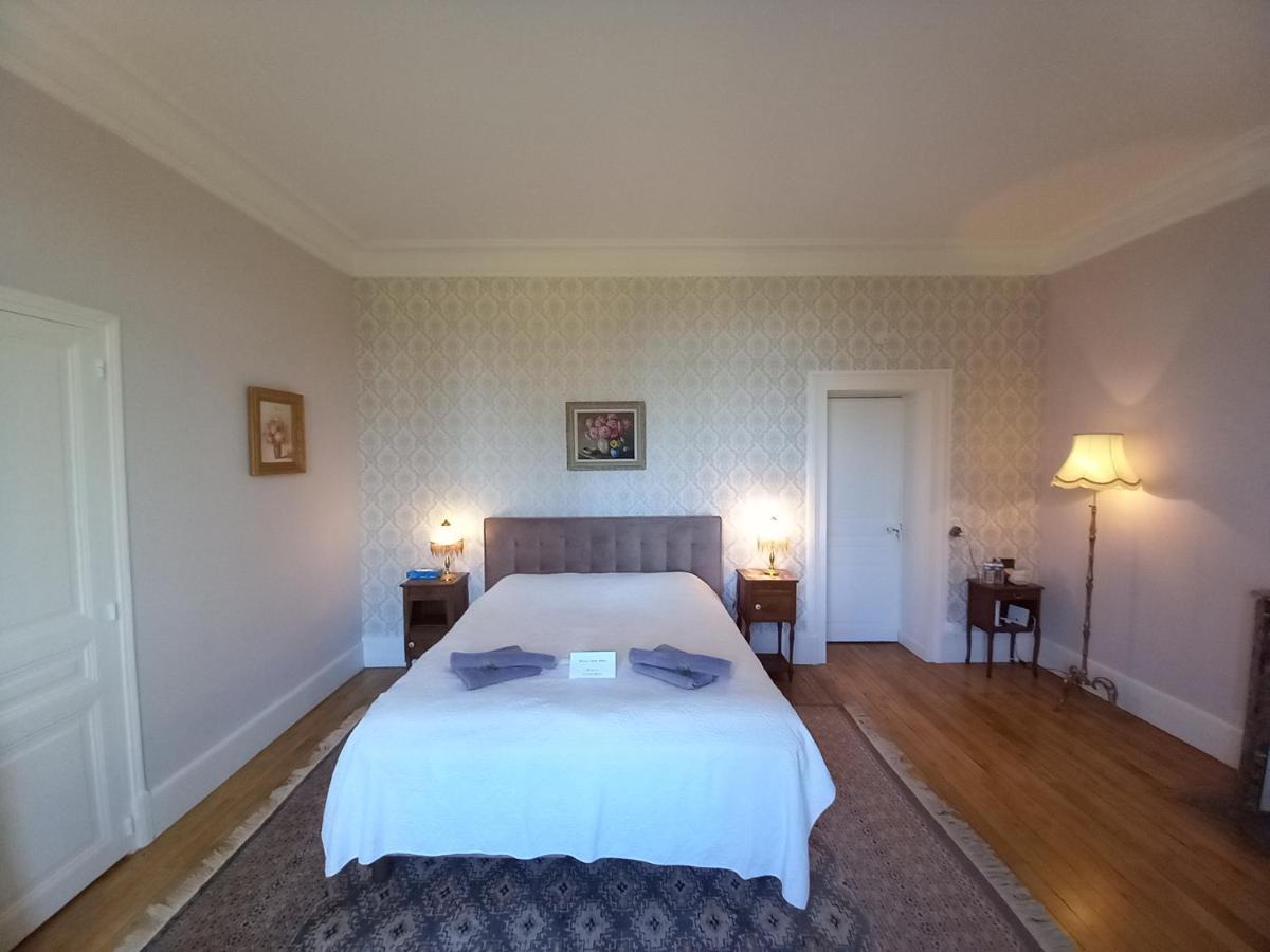 Chateau Maleplane Bed & Breakfast แซ็งต์-เลโอนาร์-เดอ-โนบลาต์ ภายนอก รูปภาพ