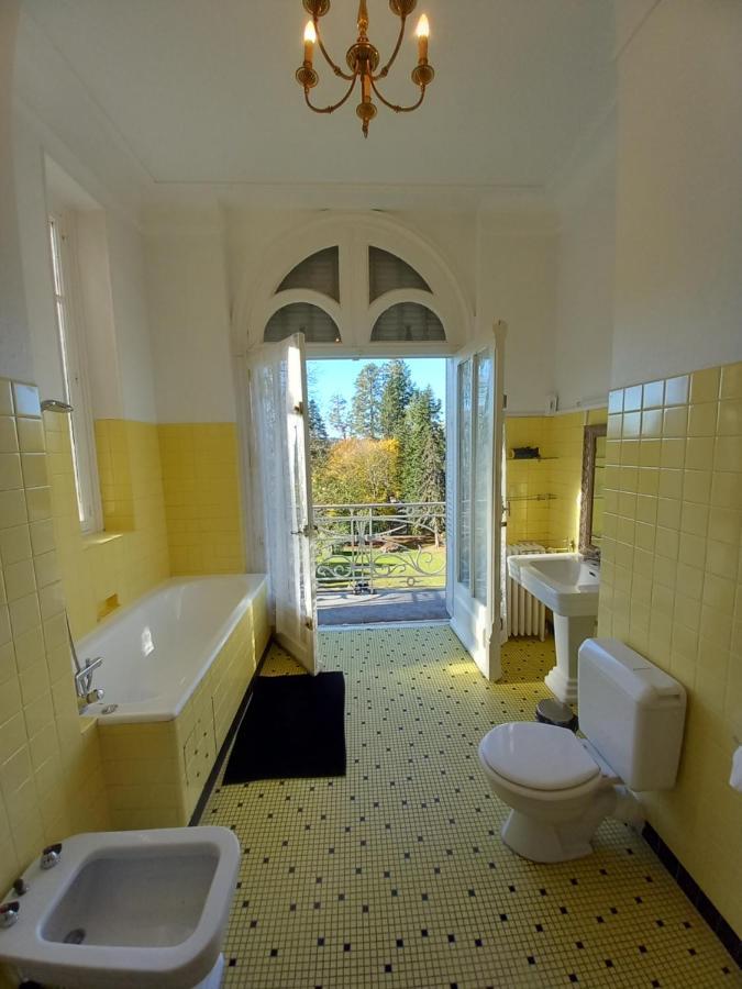 Chateau Maleplane Bed & Breakfast แซ็งต์-เลโอนาร์-เดอ-โนบลาต์ ภายนอก รูปภาพ