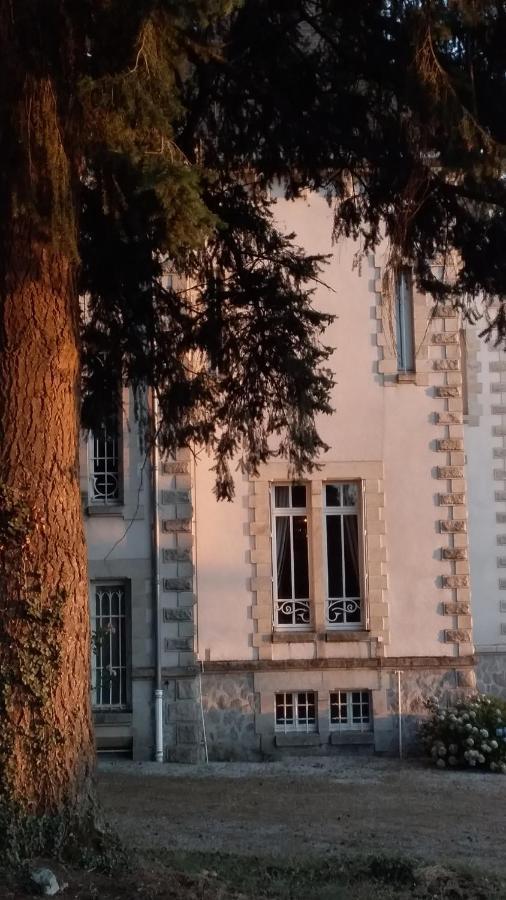 Chateau Maleplane Bed & Breakfast แซ็งต์-เลโอนาร์-เดอ-โนบลาต์ ภายนอก รูปภาพ